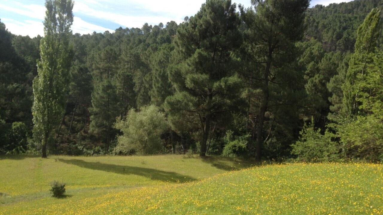Photo of Others in Le Martinet