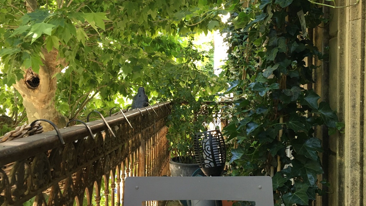Photo of Outdoor in Collobrieres