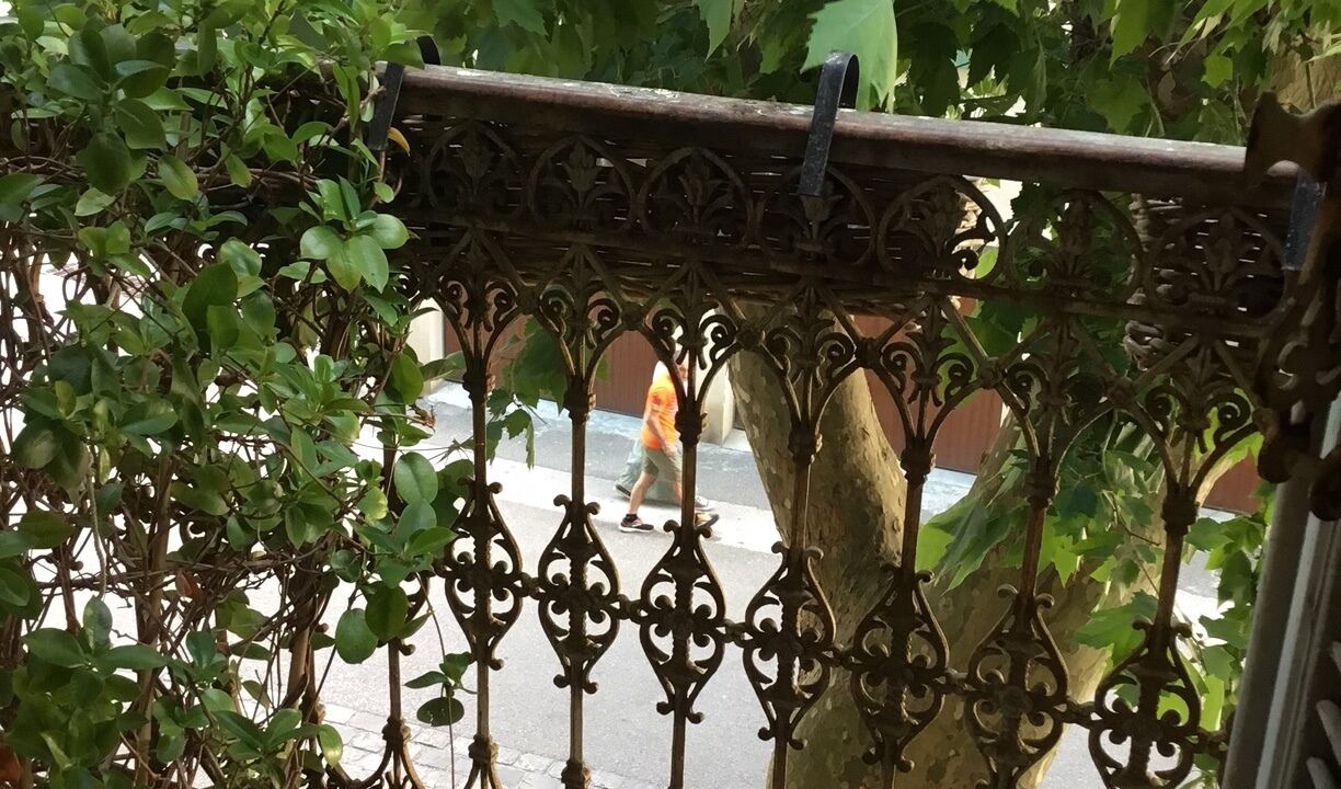 Photo of Outdoor in Collobrieres