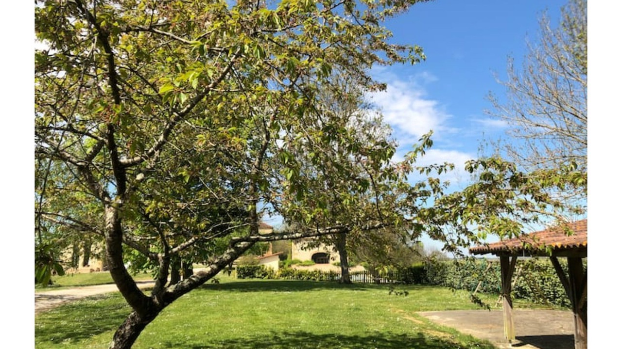 Photo of Outdoor in Monpardiac