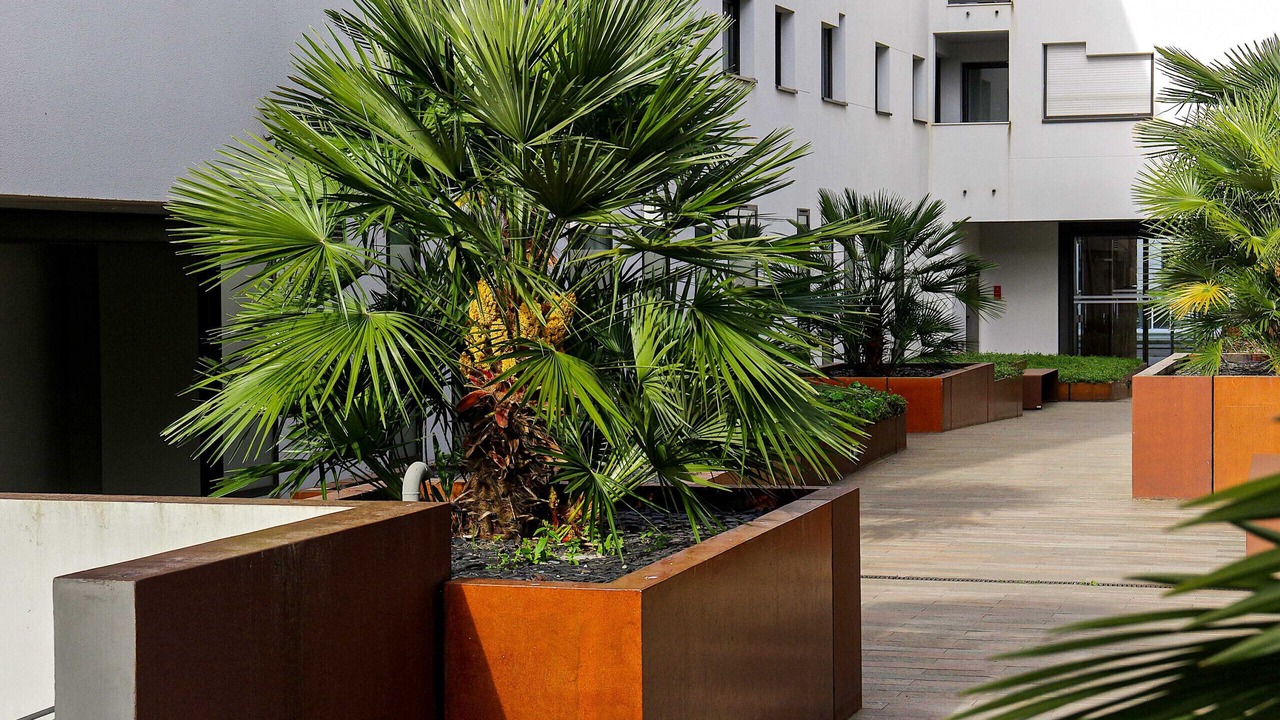 Photo of Outdoor in Bordeaux City Centre