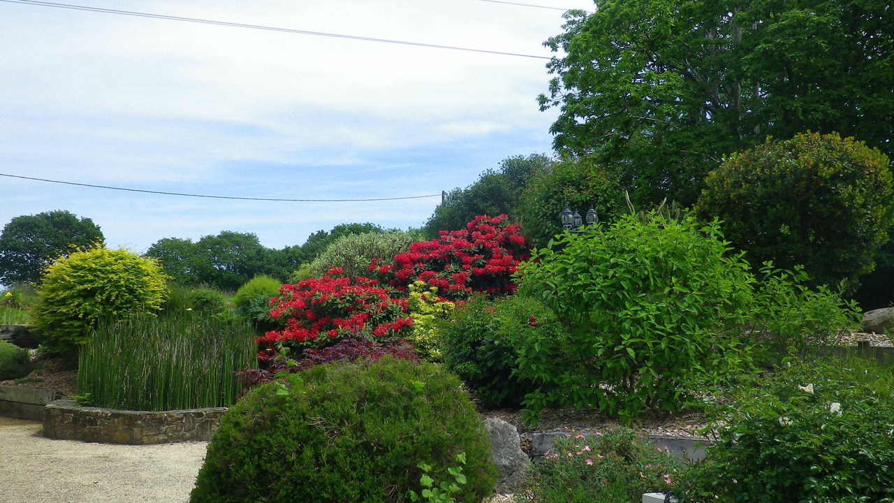Photo of Outdoor in Lannion