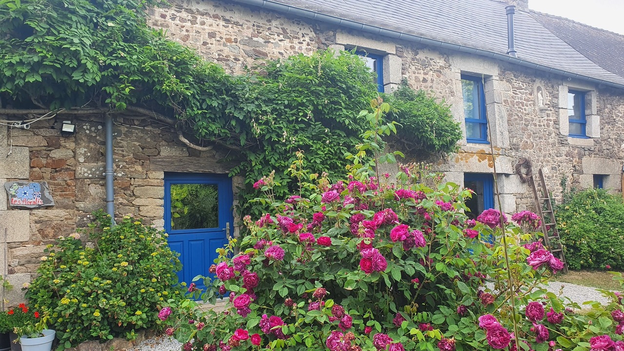 Photo of Outdoor in La Gree-Saint-Laurent