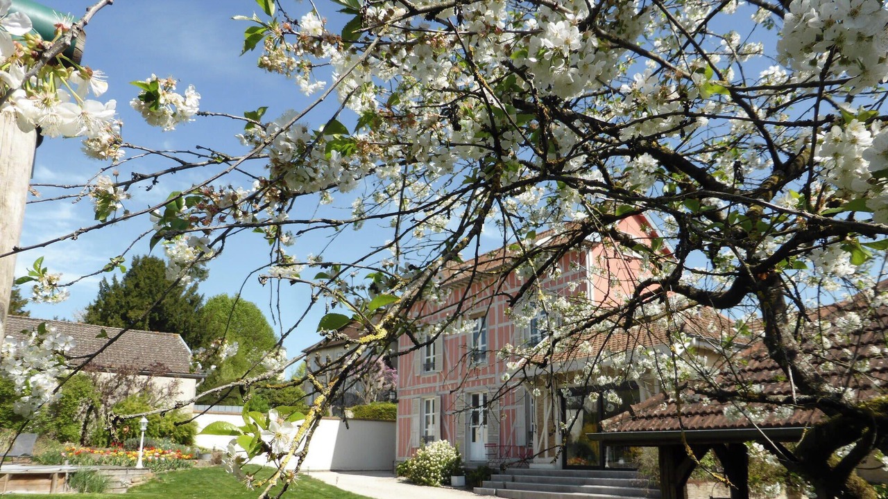 Photo of Outdoor in Sainte-Savine