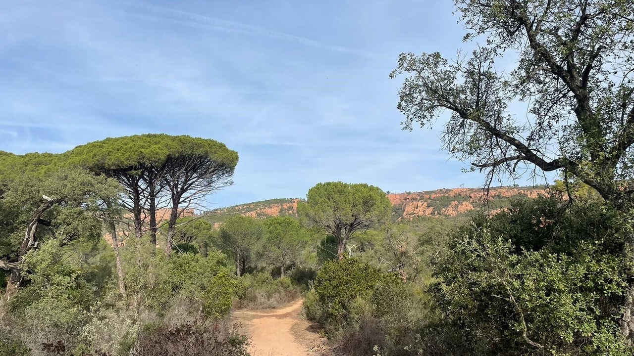 Photo of Others in Bagnols-en-Foret