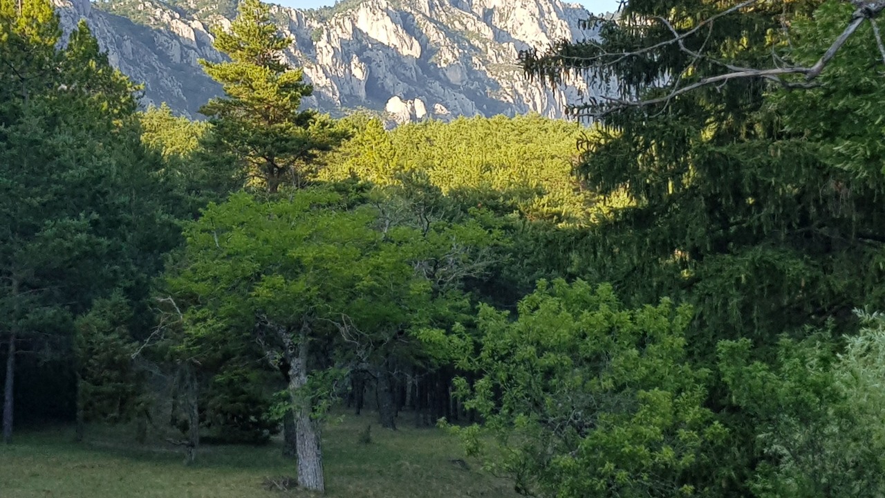 Photo of Others in Seranon