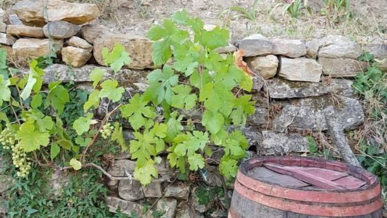 Photo of Outdoor in Le Beausset