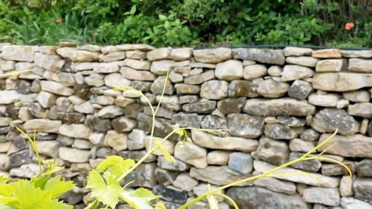 Photo of Outdoor in Le Beausset