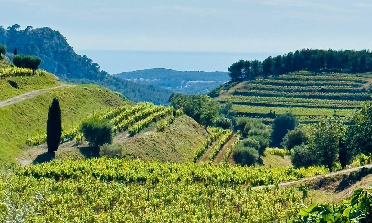 Photo of Outdoor in Le Beausset