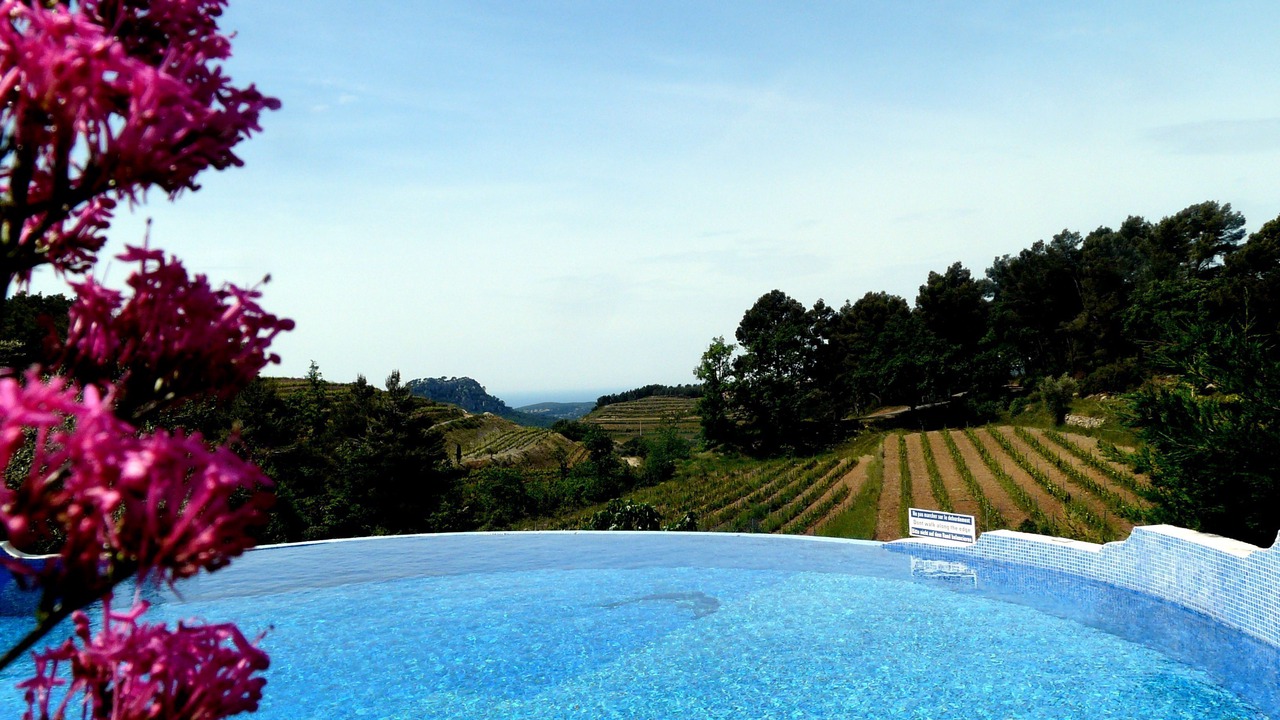 Photo of Outdoor in Le Beausset