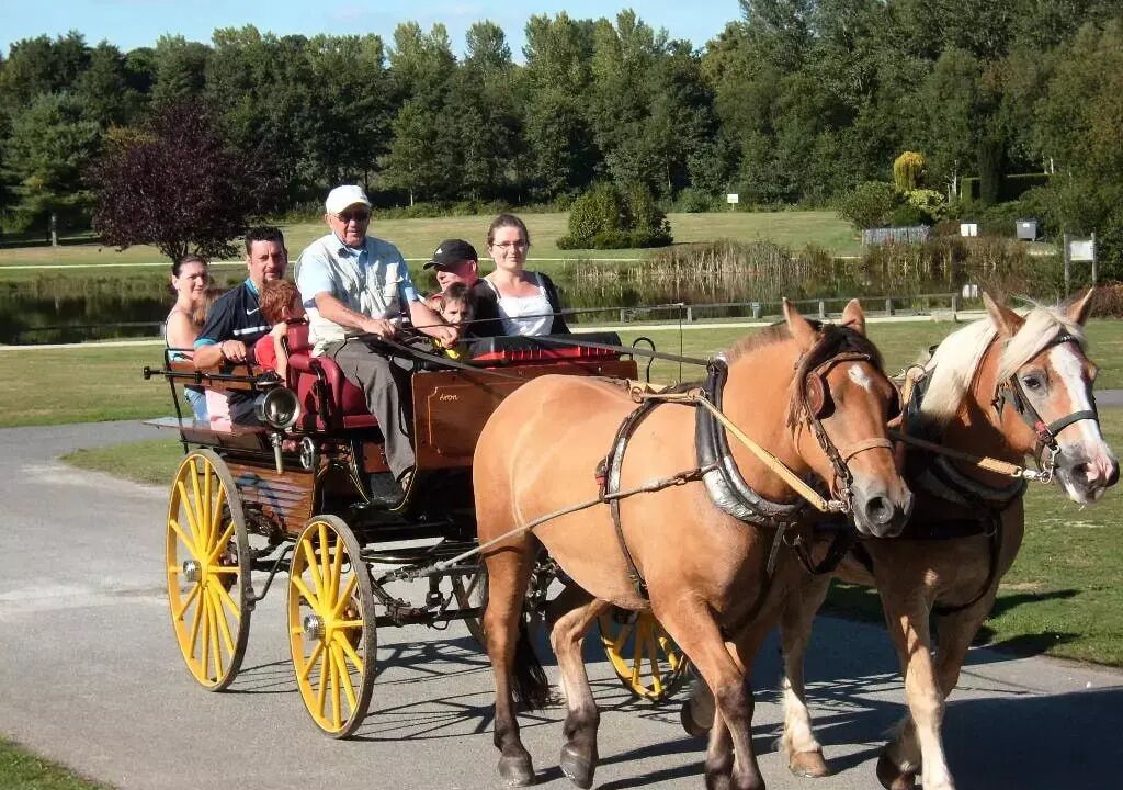 Photo of Others in Merdrignac