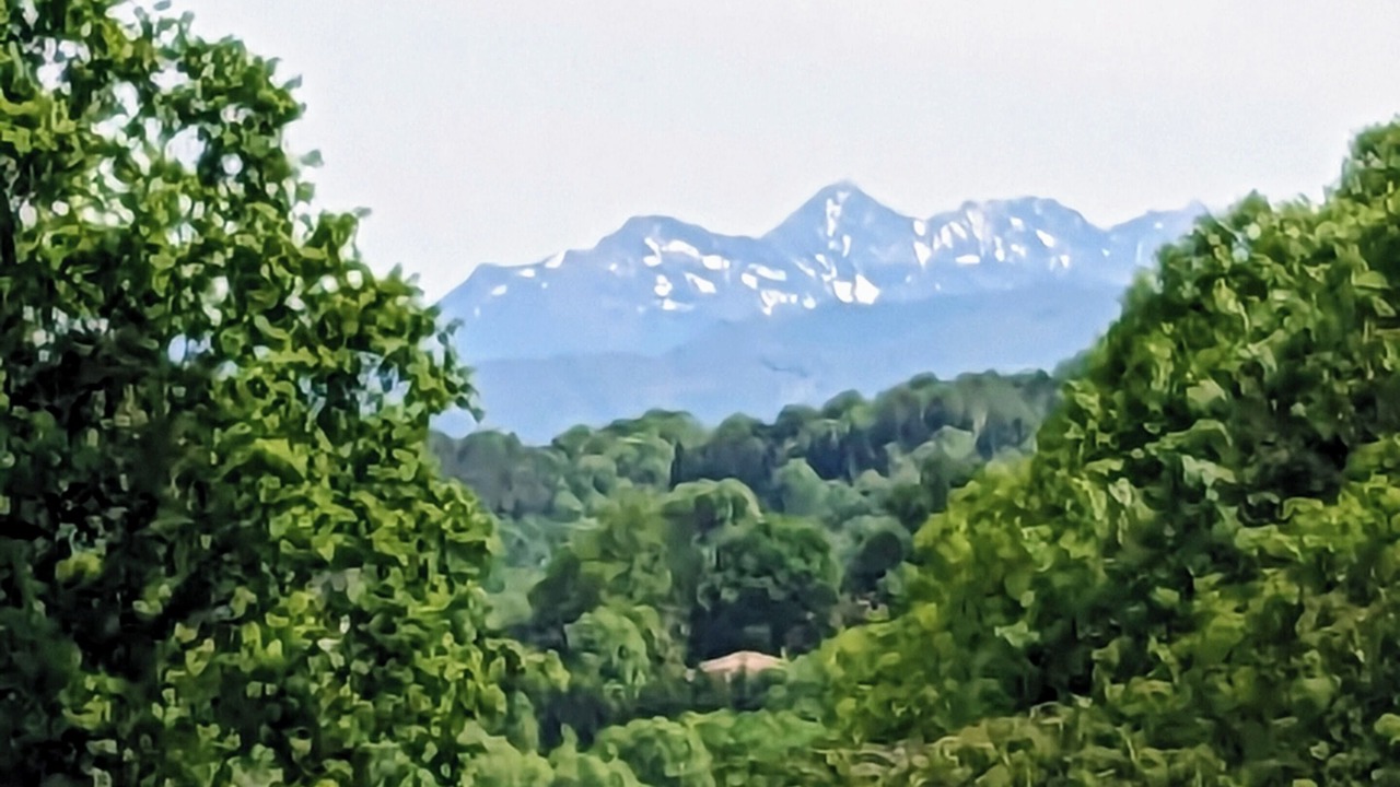 Photo of Others in Gan