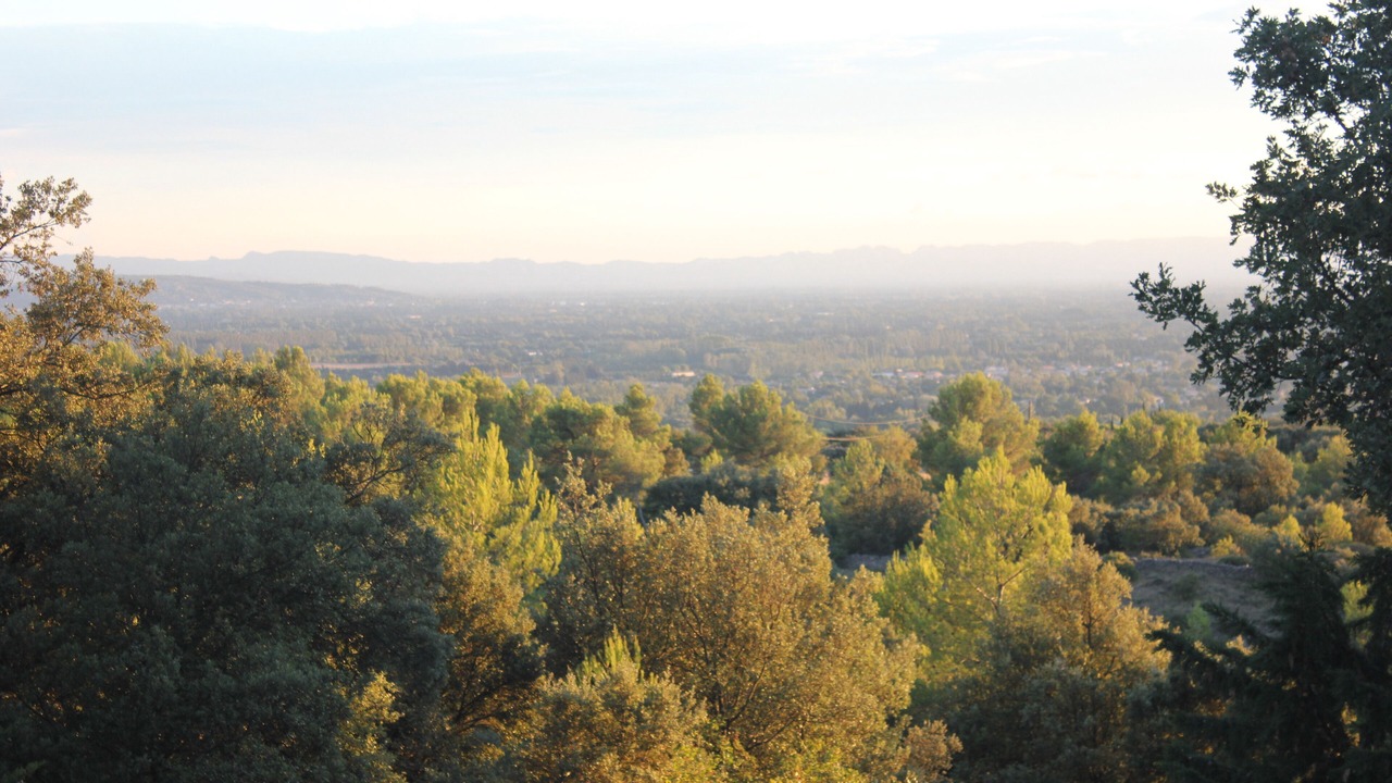 Photo of Others in Saumane-de-Vaucluse