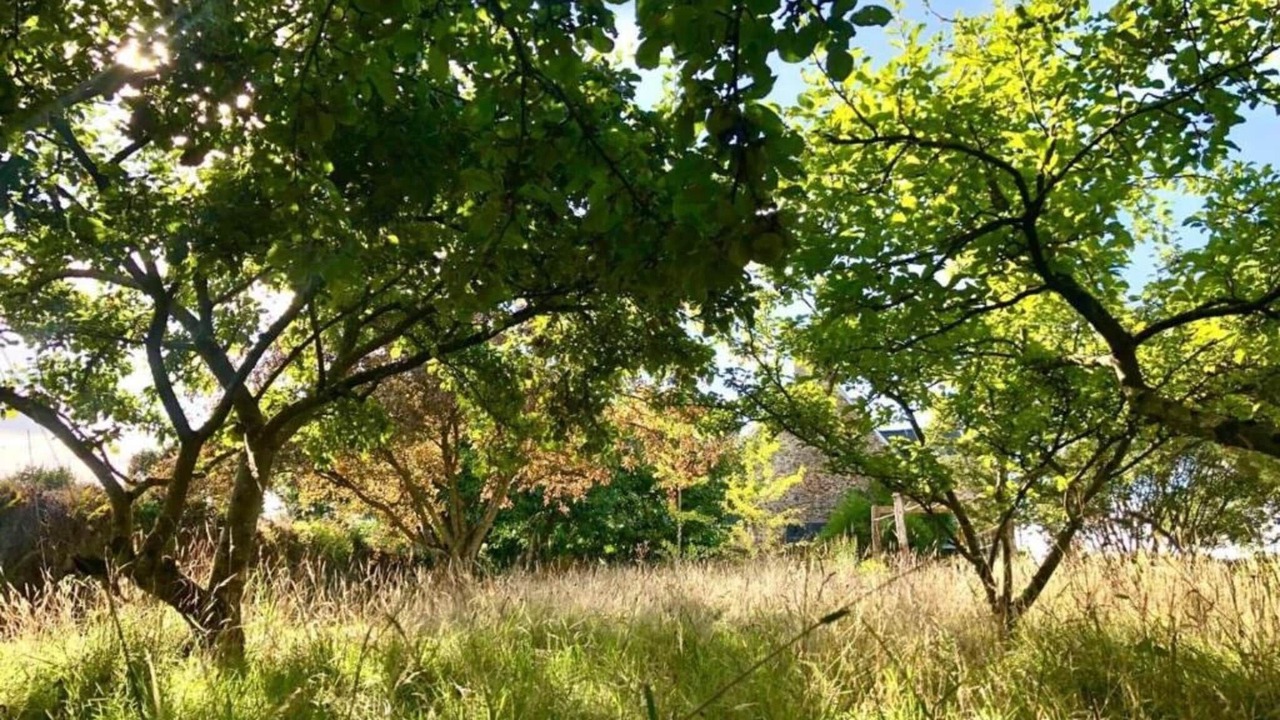 Photo of Others in Saint-Gilles-les-Bois