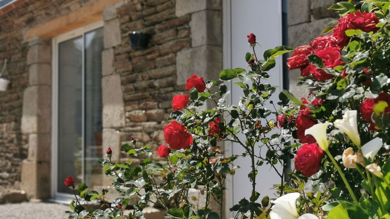 Photo of Outdoor in Plouigneau