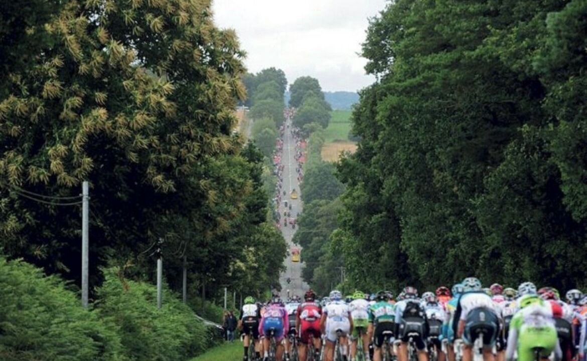 Photo of Others in Mur-de-Bretagne