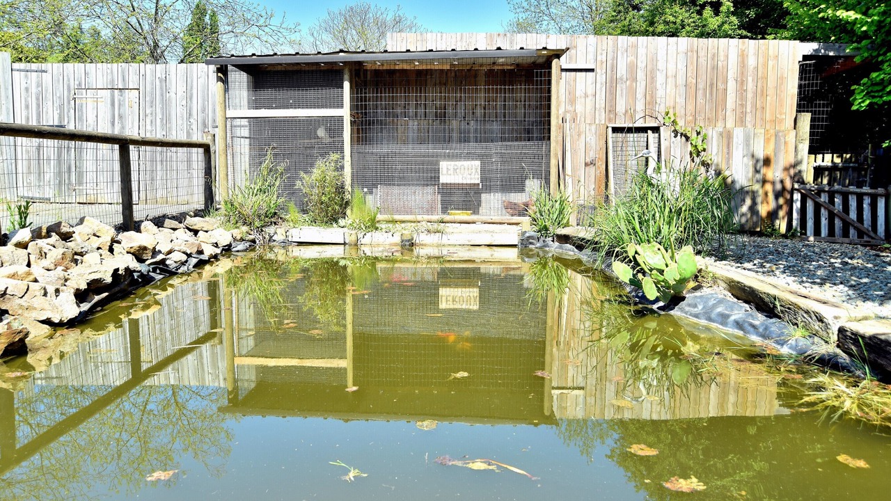 Photo of Outdoor in Pluduno