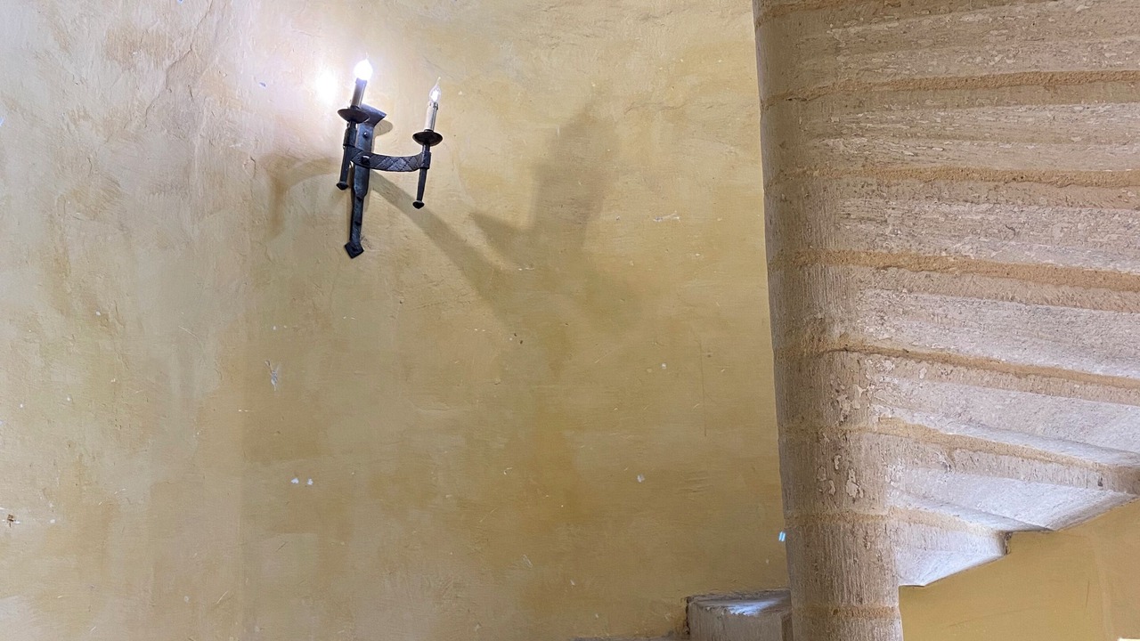 Photo of Others in Perigueux