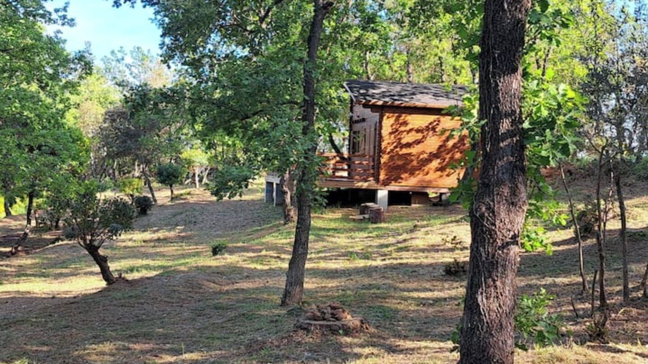 Photo of Outdoor in La Garde-Freinet