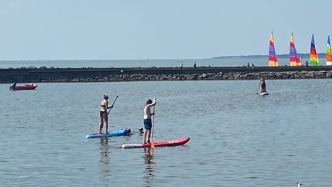 Photo of Others in La Bernerie-en-Retz