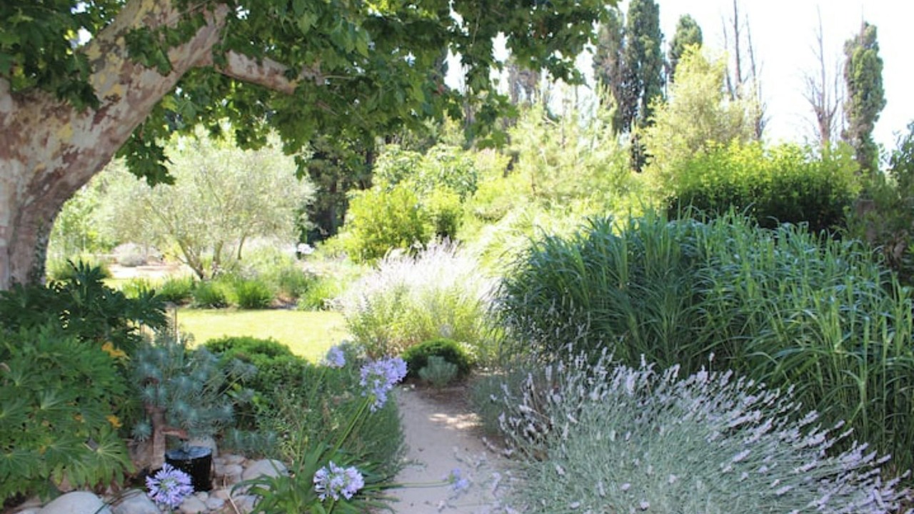 Photo of Outdoor in Cabannes