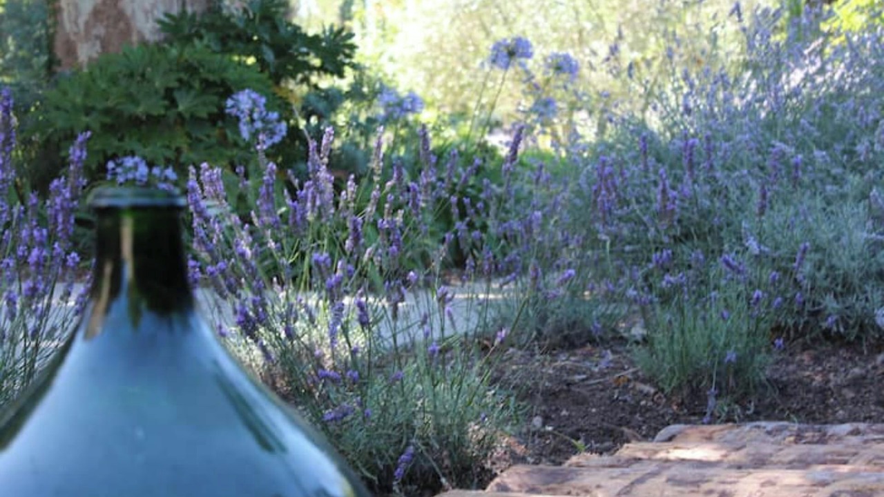 Photo of Outdoor in Cabannes