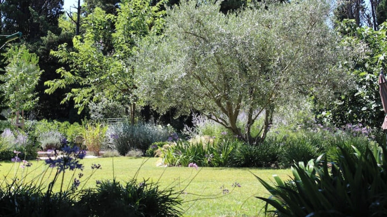 Photo of Outdoor in Cabannes