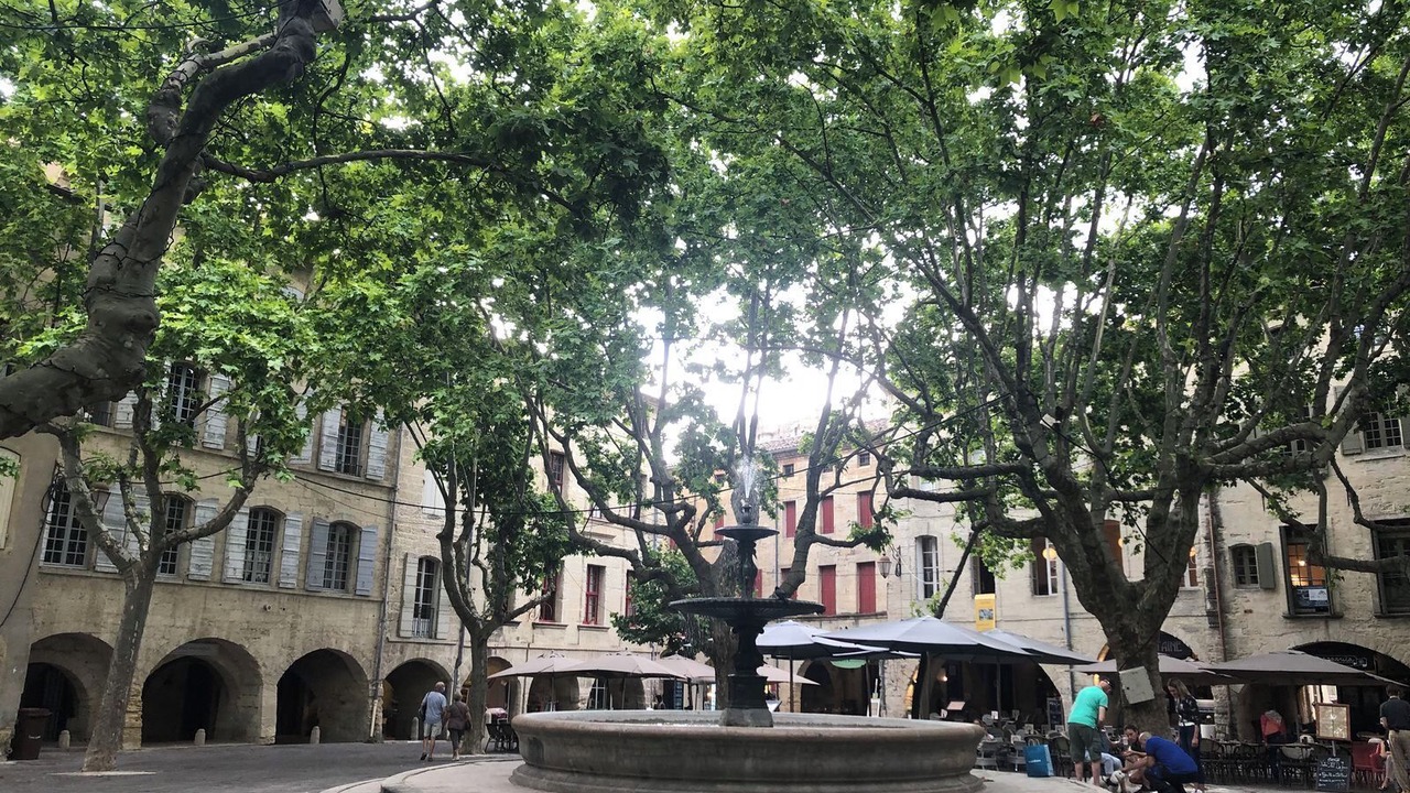 Photo of Others in La Bruguiere