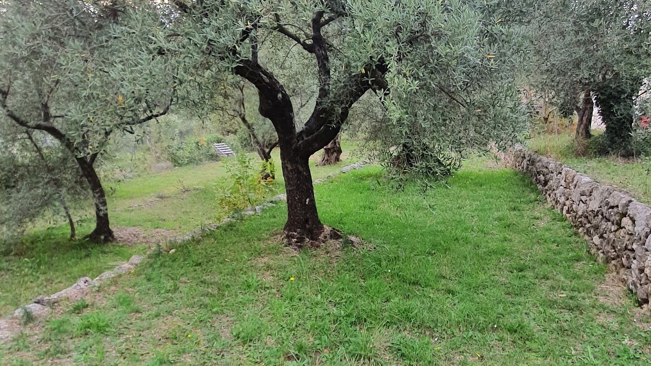 Photo of Outdoor in Callian