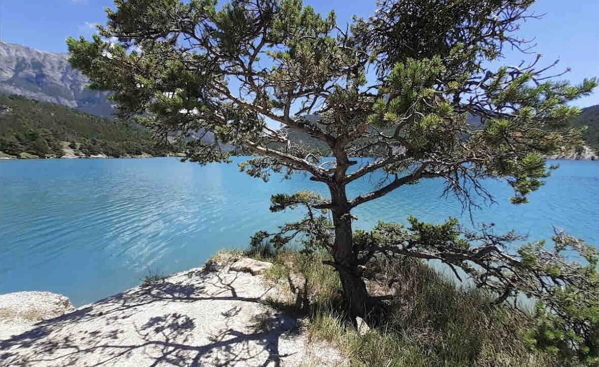 Photo of Outdoor in Montclar