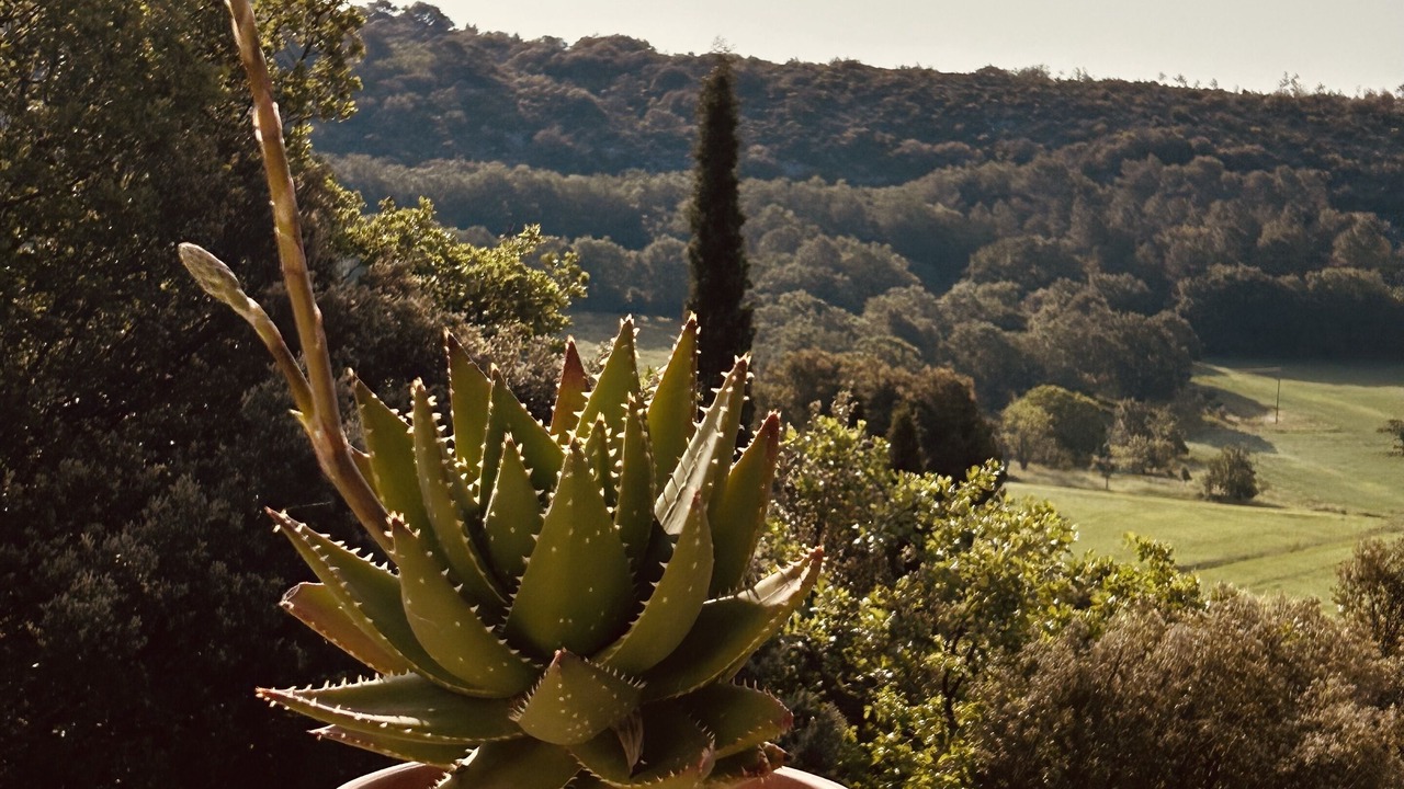 Photo of Outdoor in Ampus