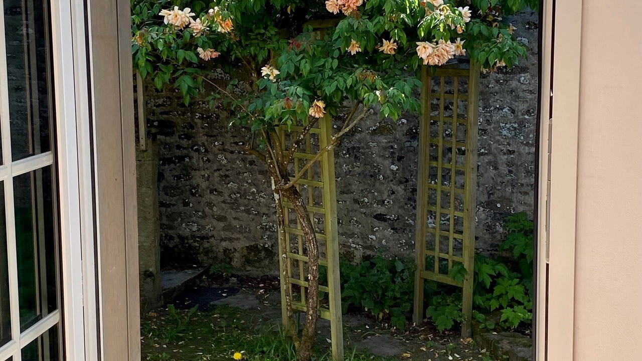Photo of Others in Lanvallay