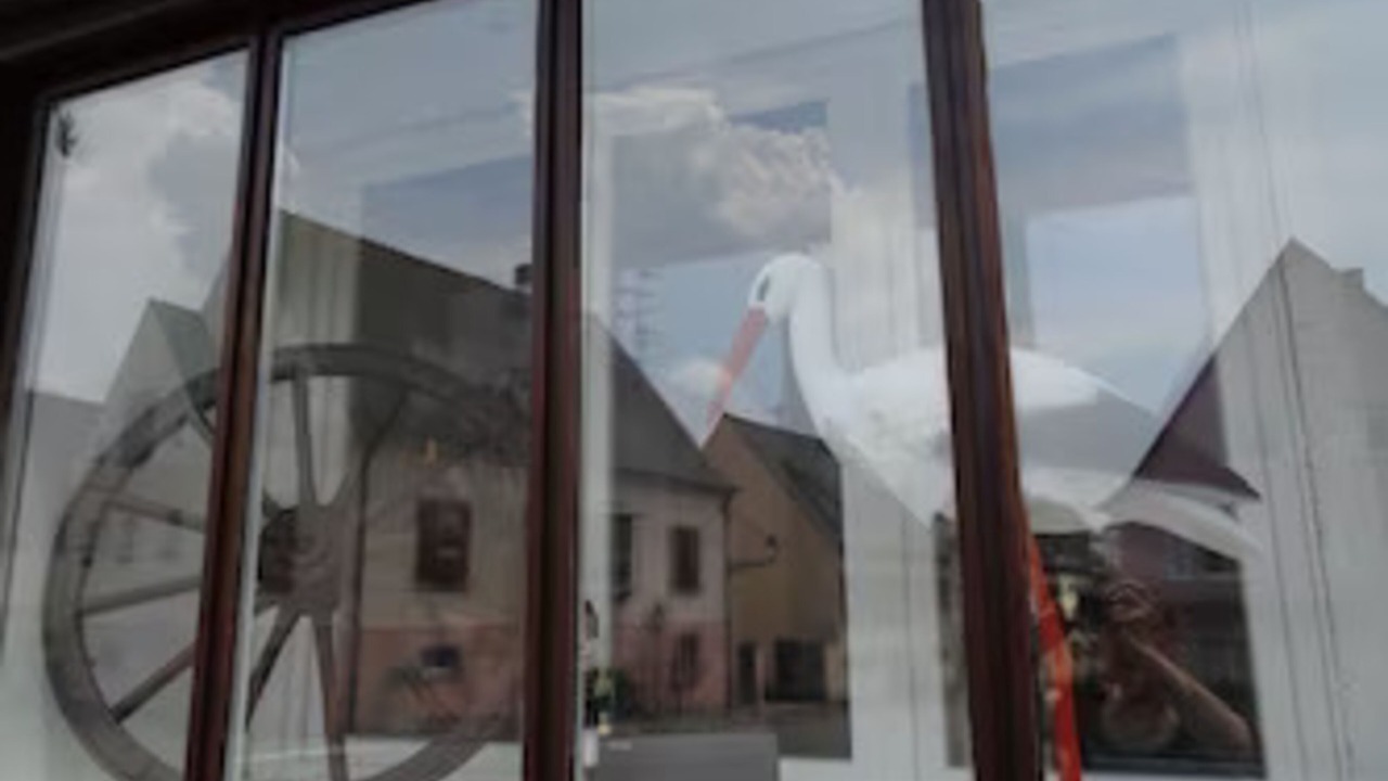 Photo of Outdoor in Sigolsheim