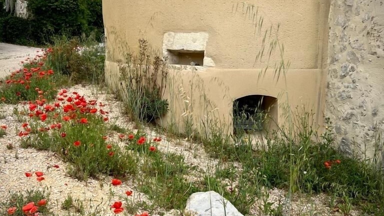 Photo of Outdoor in Lussan