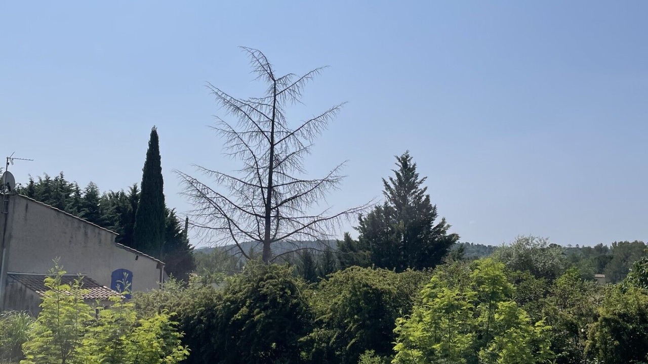 Photo of Others in Le Val