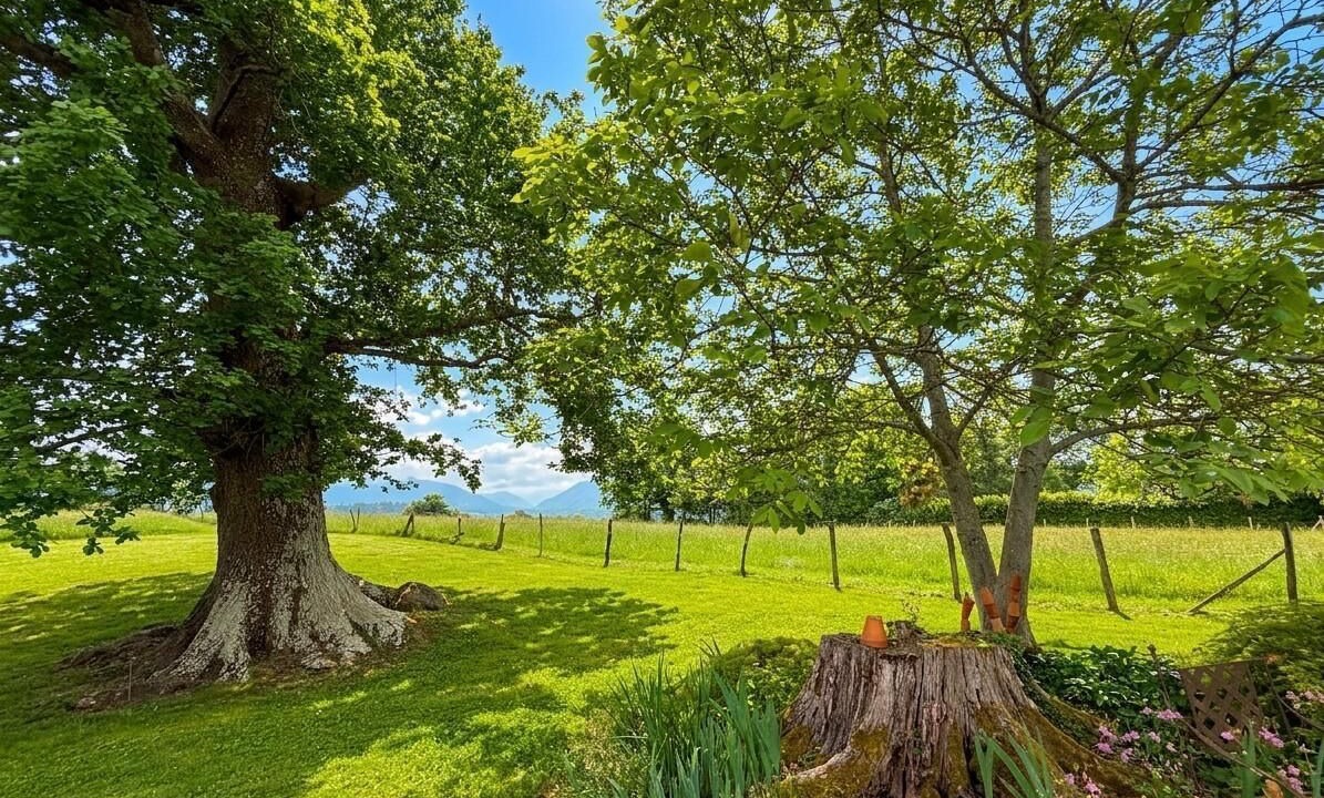 Photo of Outdoor in Lys