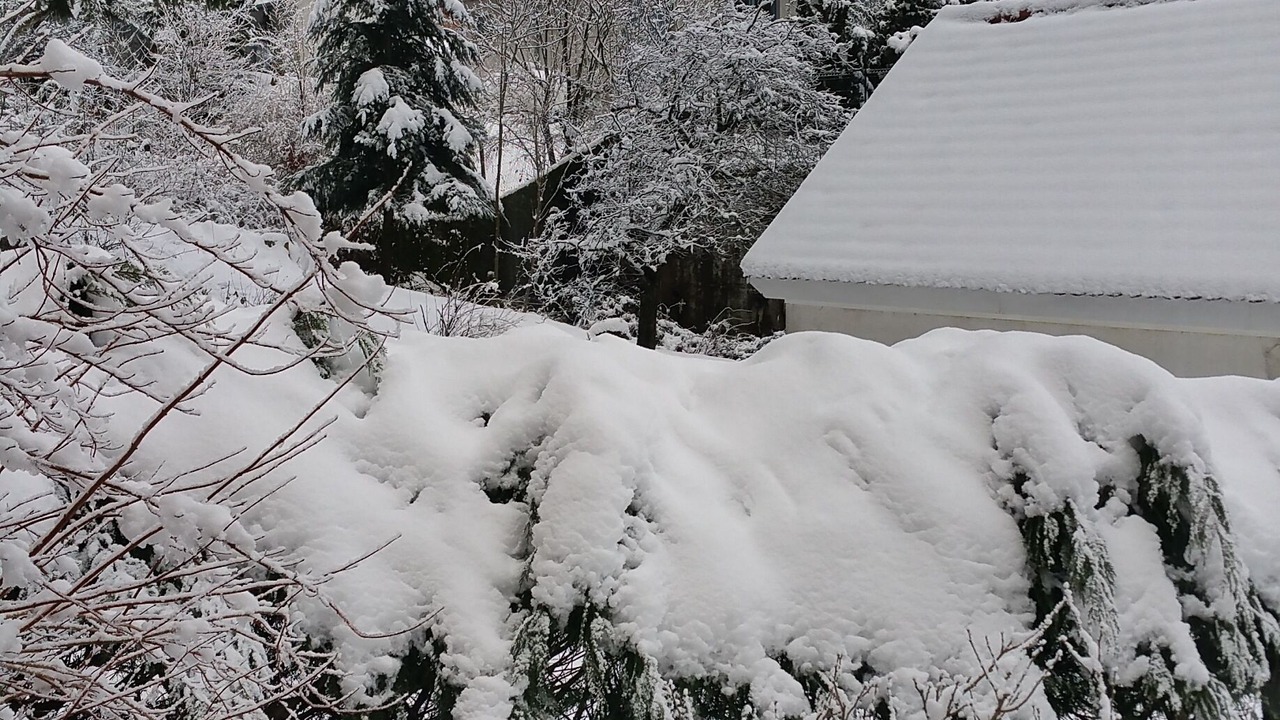 Photo of Outdoor in Sainte-Marie-aux-Mines