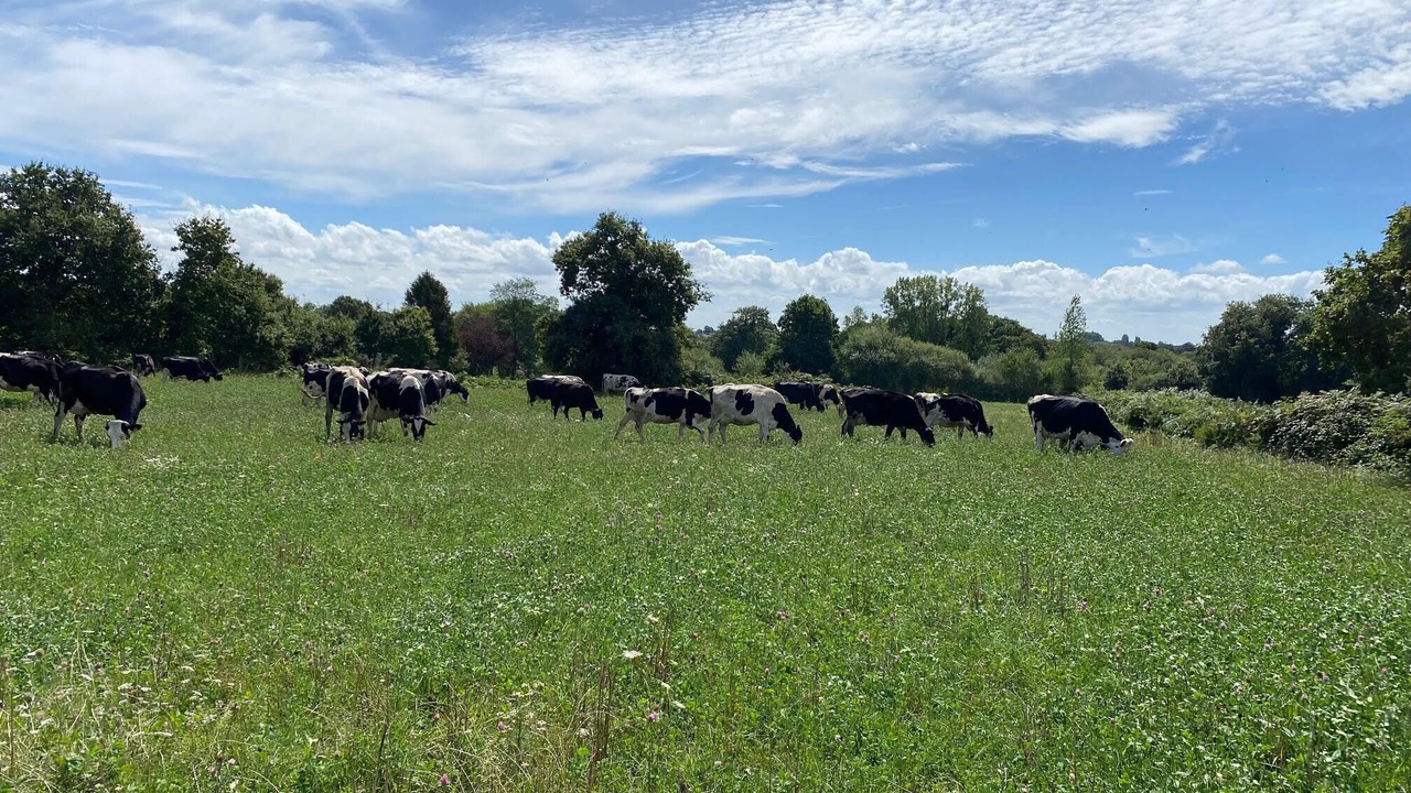 Photo of Outdoor in Saint-Cast-le-Guildo