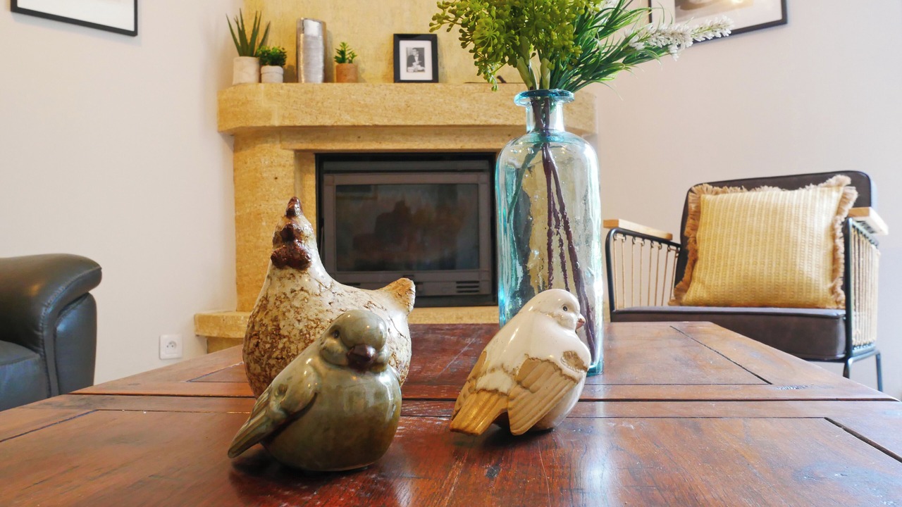 Photo of Livingroom in Bascous