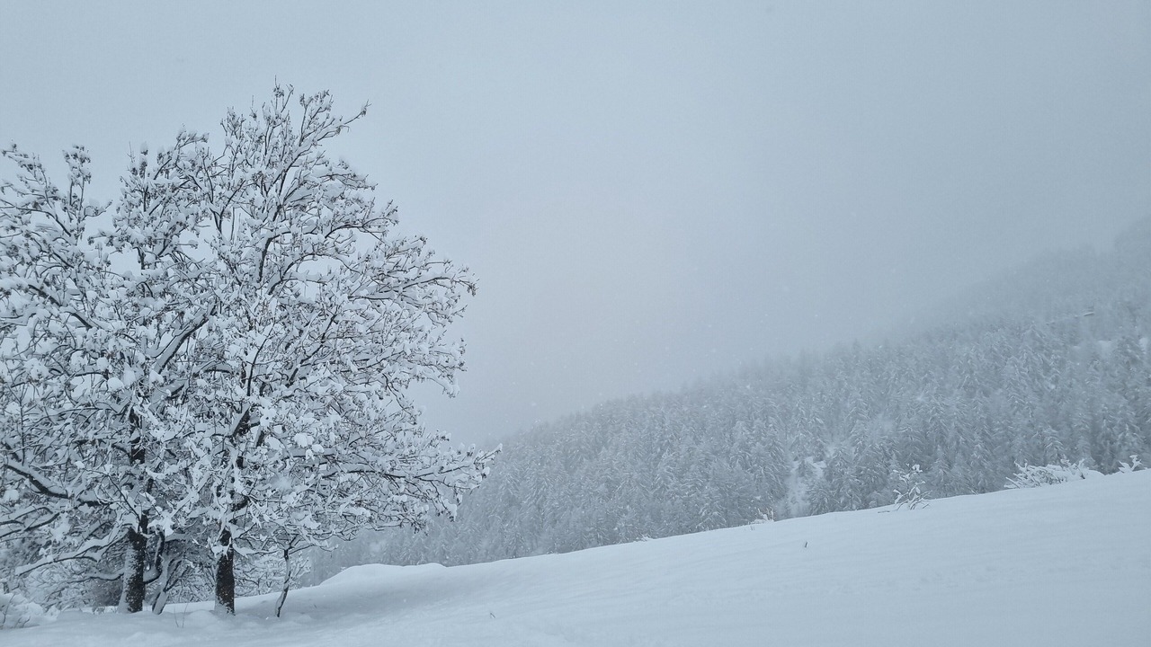 Photo of Others in Le Sauze