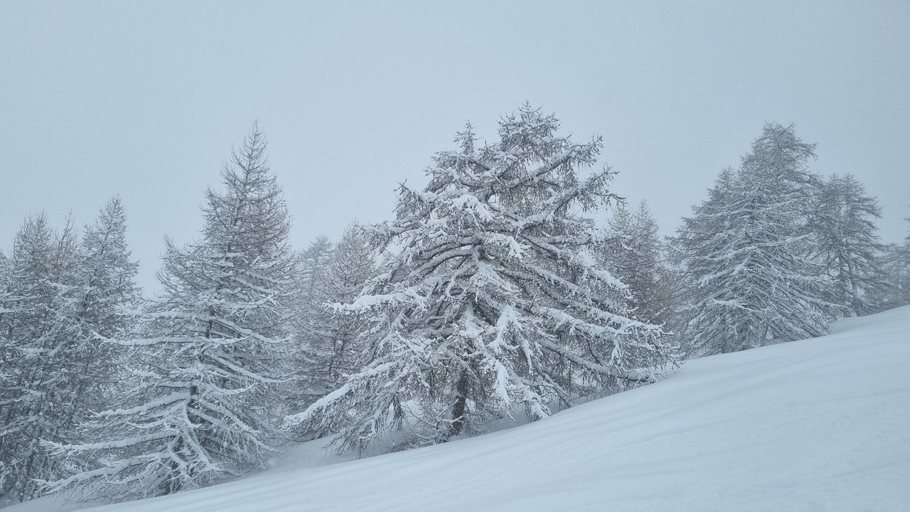 Photo of Others in Le Sauze