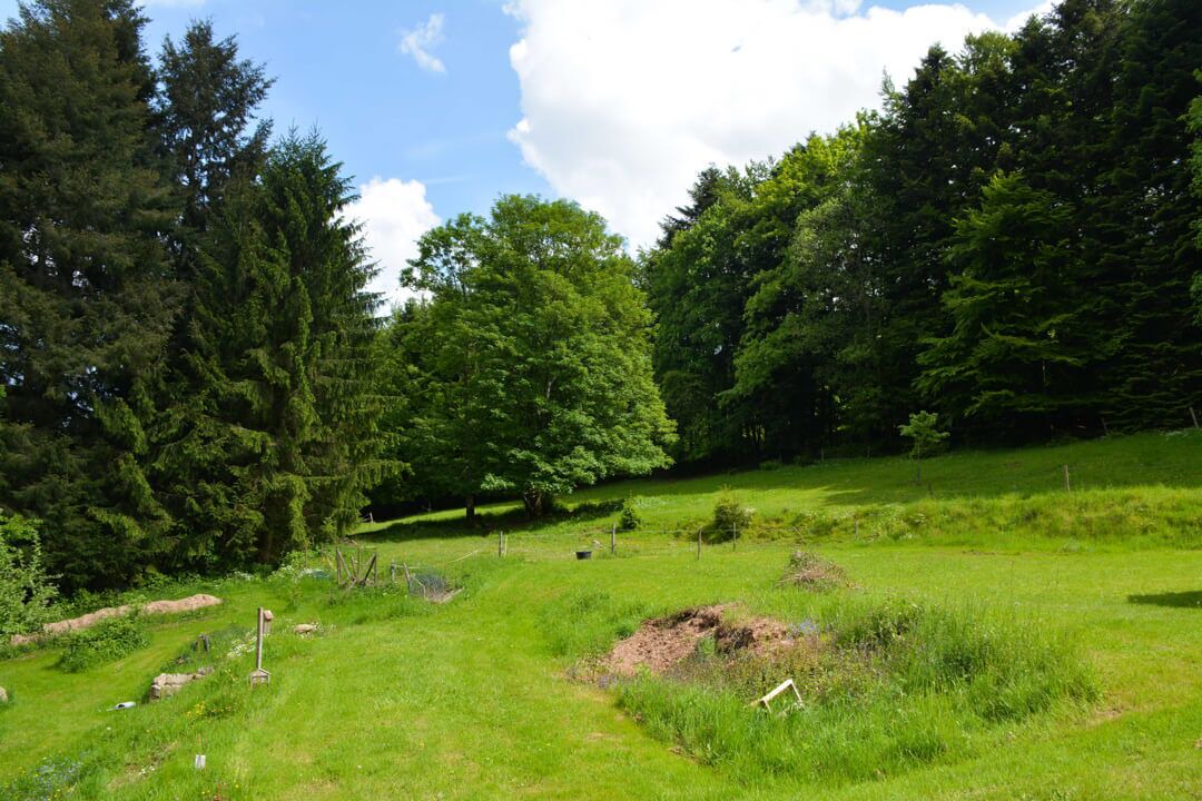 Photo of Outdoor in Le Hohwald