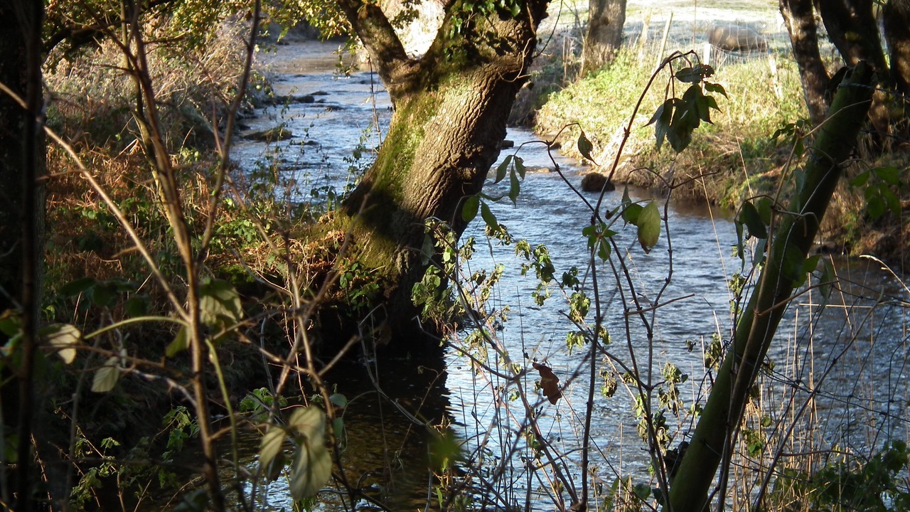 Photo of Others in Plouguenast