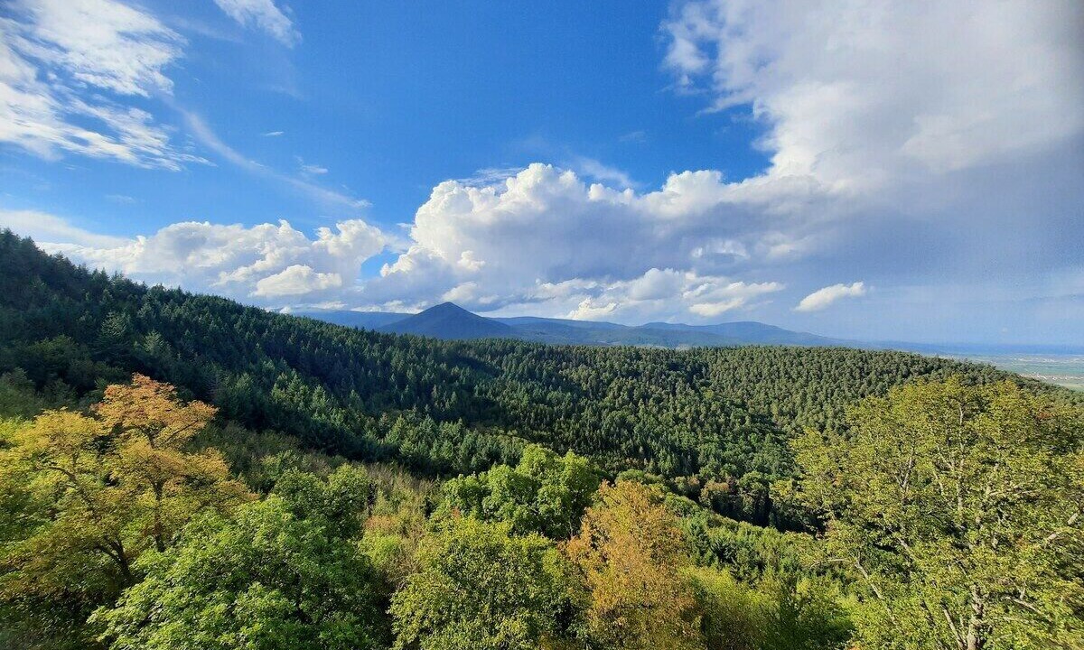 Photo of Others in Dieffenthal