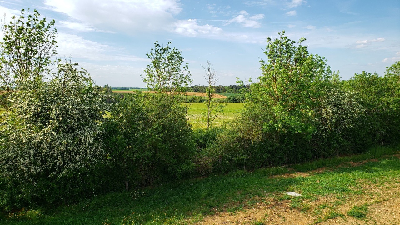 Photo of Outdoor in Pannes