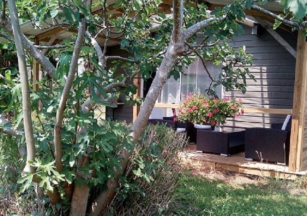 Photo of Patio Balcony in Saubion