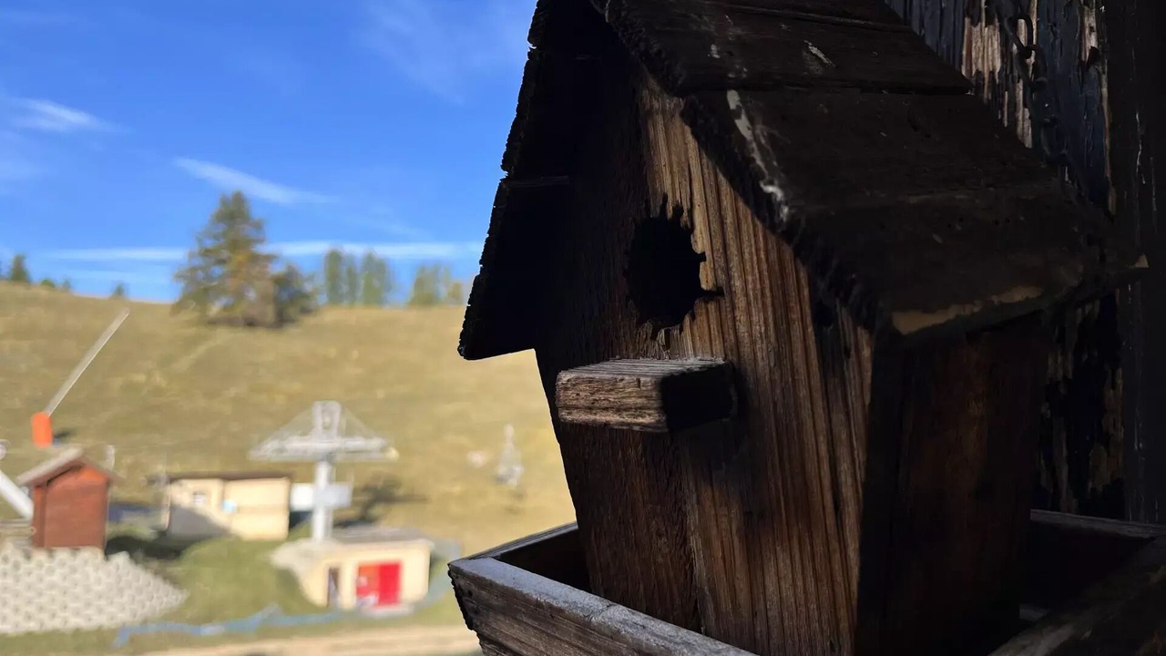 Photo of Outdoor in Le Super-Sauze