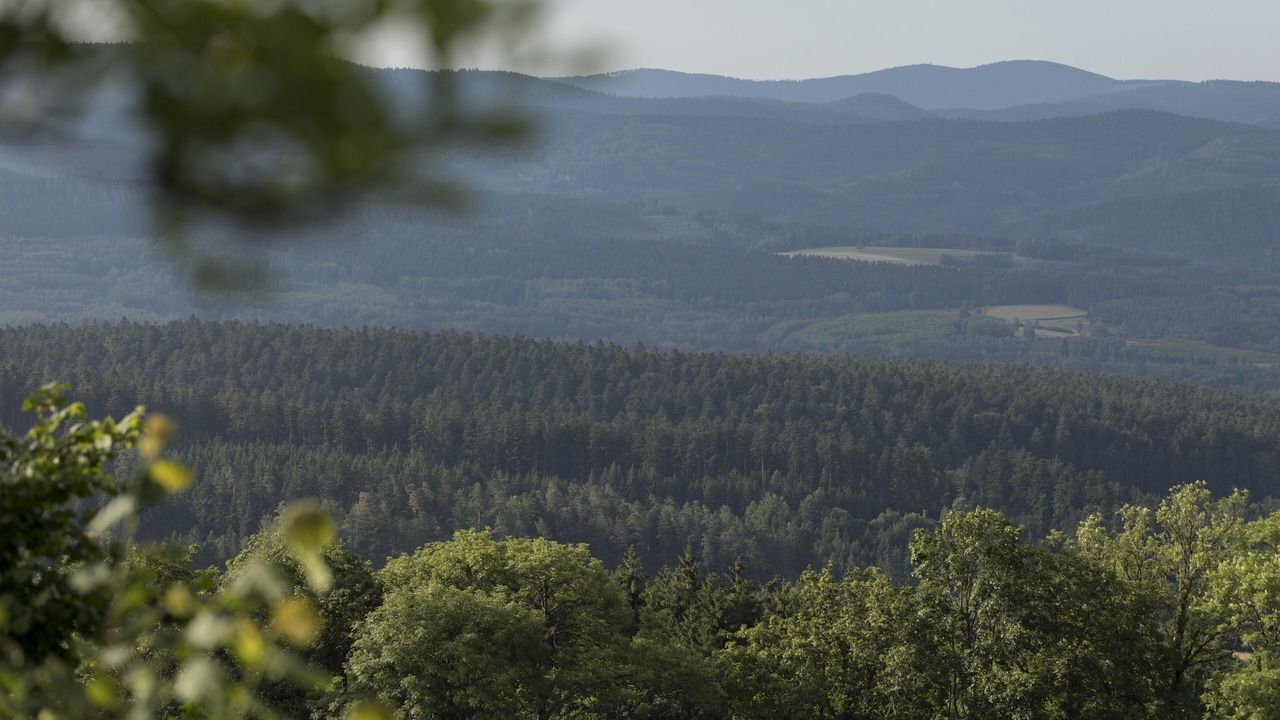 Photo of Outdoor in La Grande-Fosse
