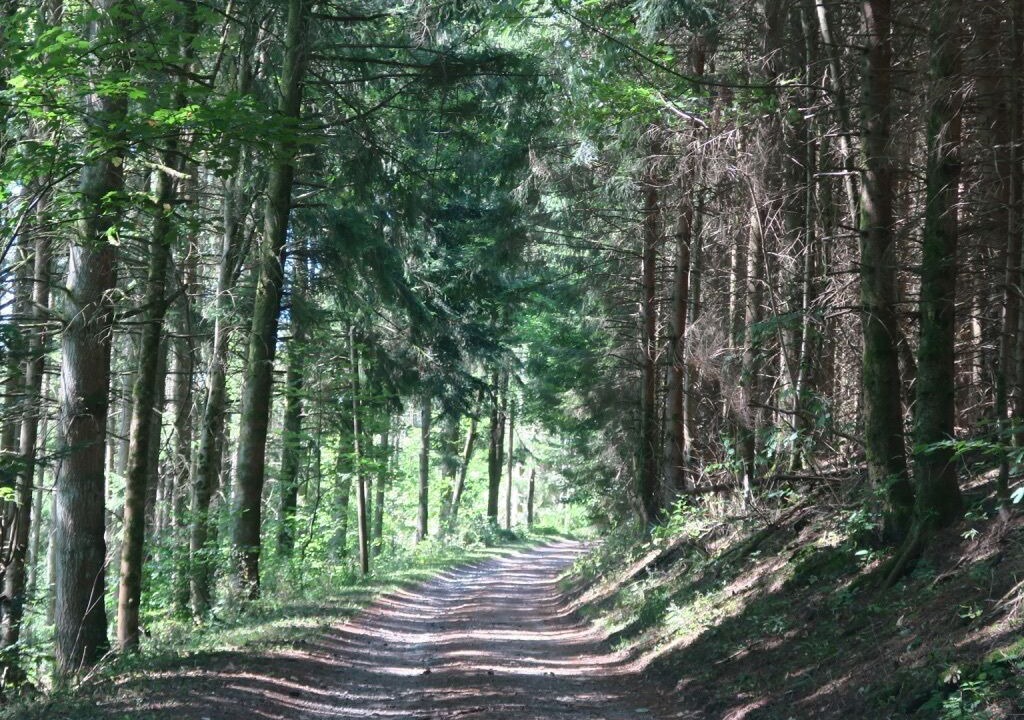 Photo of Outdoor in La Grande-Fosse