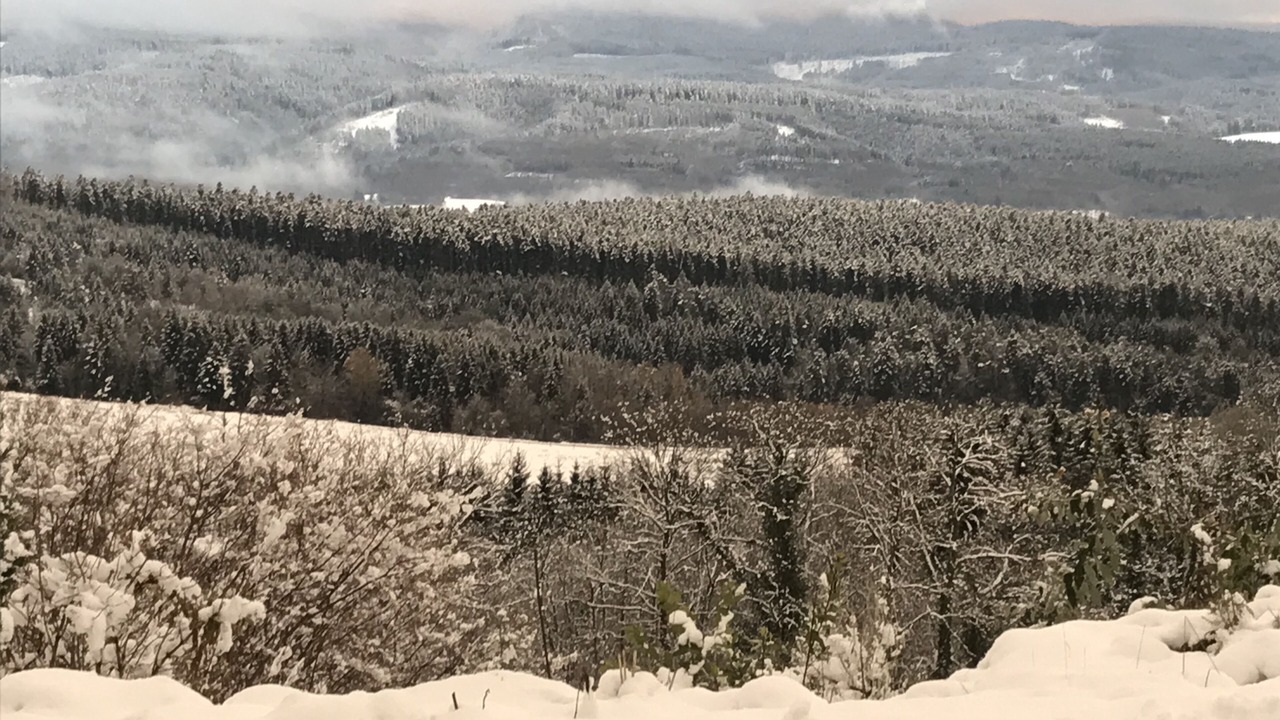 Photo of Outdoor in La Grande-Fosse
